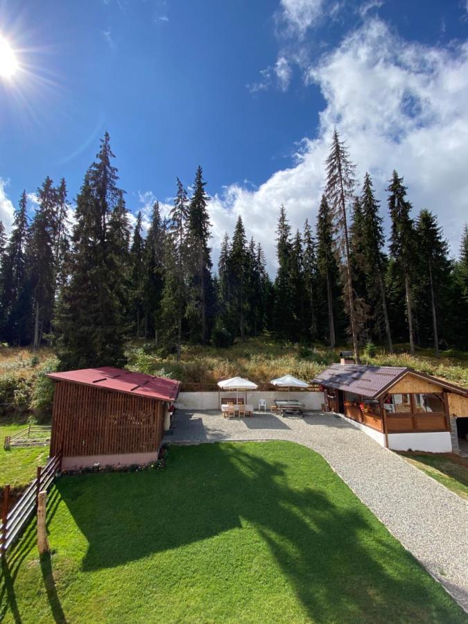 Cabana Ama Hotell Tău Bistra Exteriör bild