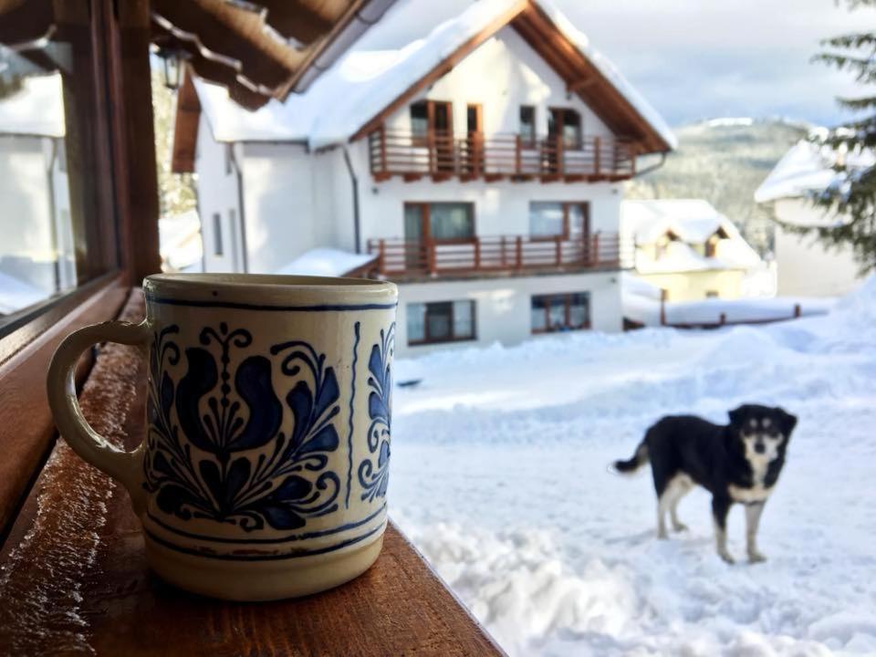 Cabana Ama Hotell Tău Bistra Exteriör bild