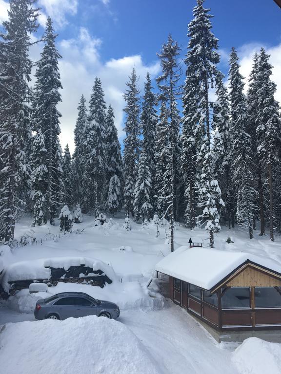 Cabana Ama Hotell Tău Bistra Exteriör bild